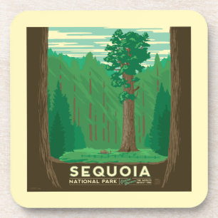Sequoia National Park Coaster
