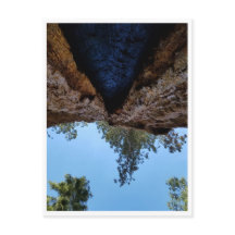 Sequoia National Park: Dog Days