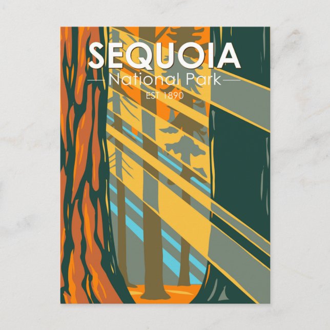 Sequoia National Park Giant Sequoia Trees Postcard (Front)