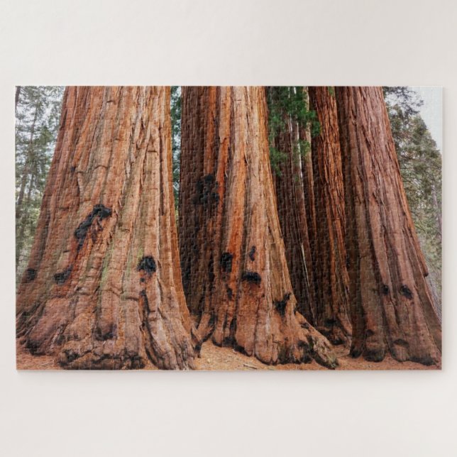 Sequoia National Park Jigsaw Puzzle (Horizontal)
