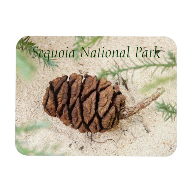 Sequoia National Park Magnet (Horizontal)