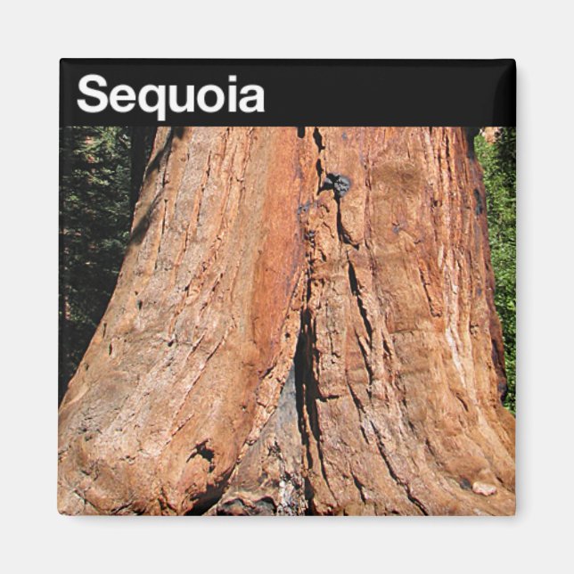 Sequoia National Park Magnet (Front)