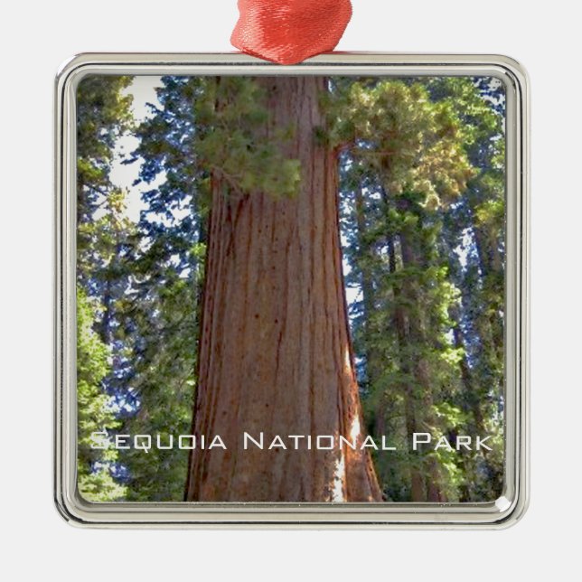 Sequoia National Park Metal Tree Decoration (Front)