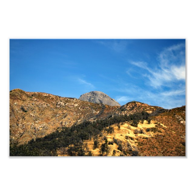 Sequoia National Park Photo Print (Front)