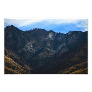 Sequoia National Park Photo Print
