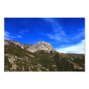 Sequoia National Park Photo Print