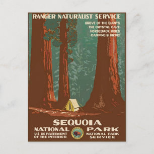 Sequoia National Park Postcard