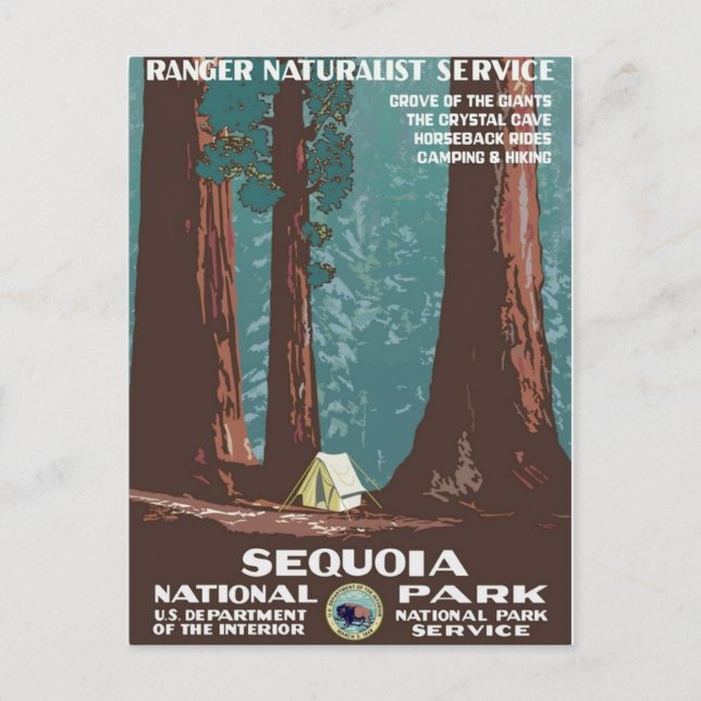 Sequoia national park postcard (Front)