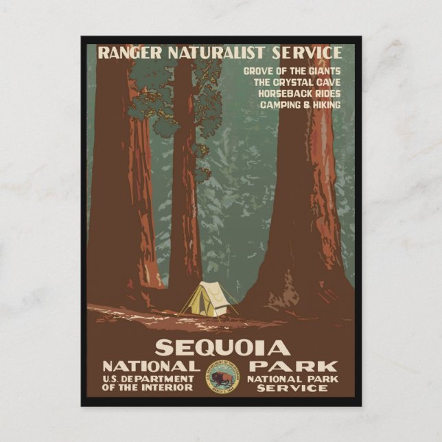 Sequoia National Park Postcard (Front)