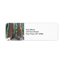 Sequoia National Park