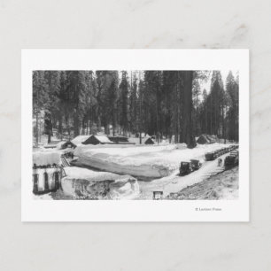 Sequoia National Park Snow Scene in Village Postcard