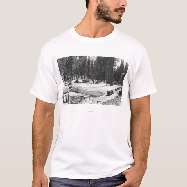 Sequoia National Park Snow Scene in Village T-Shirt (Front)