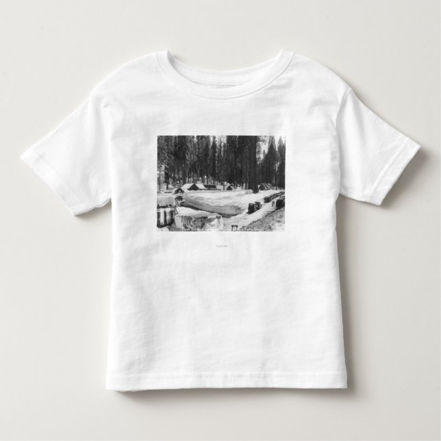 Sequoia National Park Snow Scene in Village Toddler T-Shirt (Front)