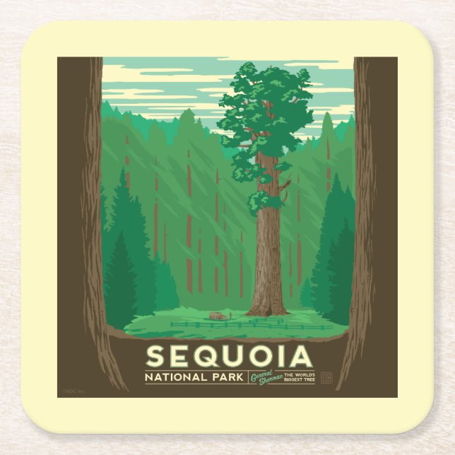 Sequoia National Park Square Paper Coaster (Front)