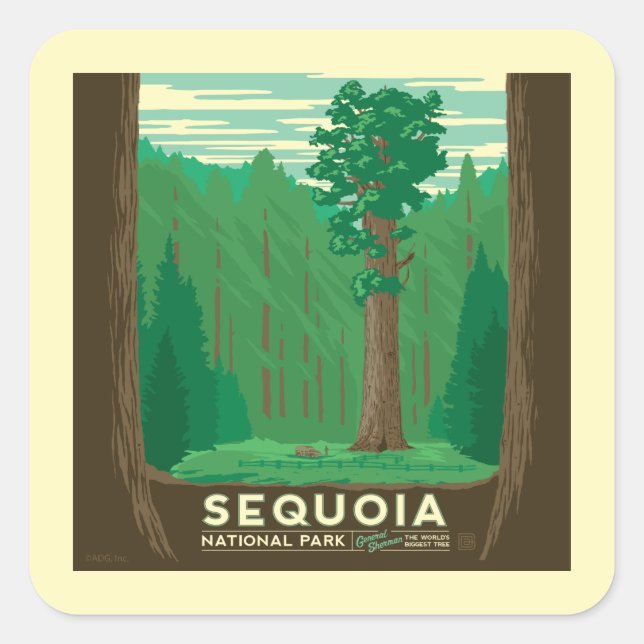Sequoia National Park Square Sticker (Front)