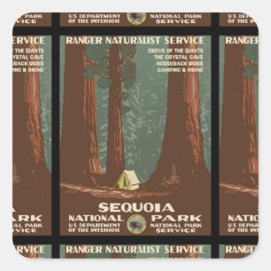 Sequoia National Park Square Sticker