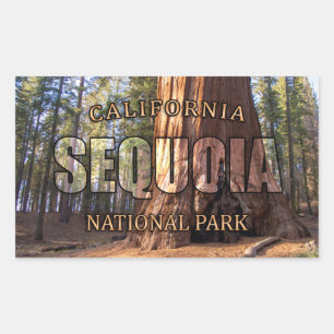 Sequoia National Park Sticker