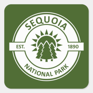 Sequoia National Park Sun Trees Square Sticker