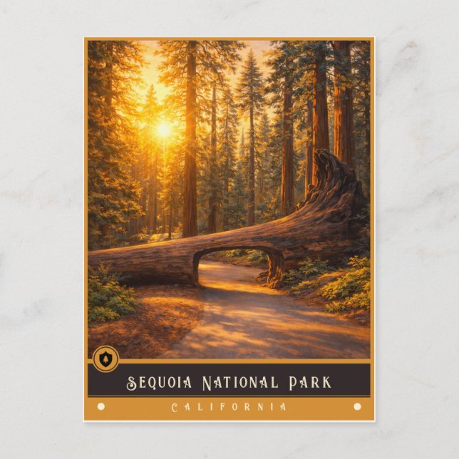 Sequoia National Park | Vintage Postcard (Front)