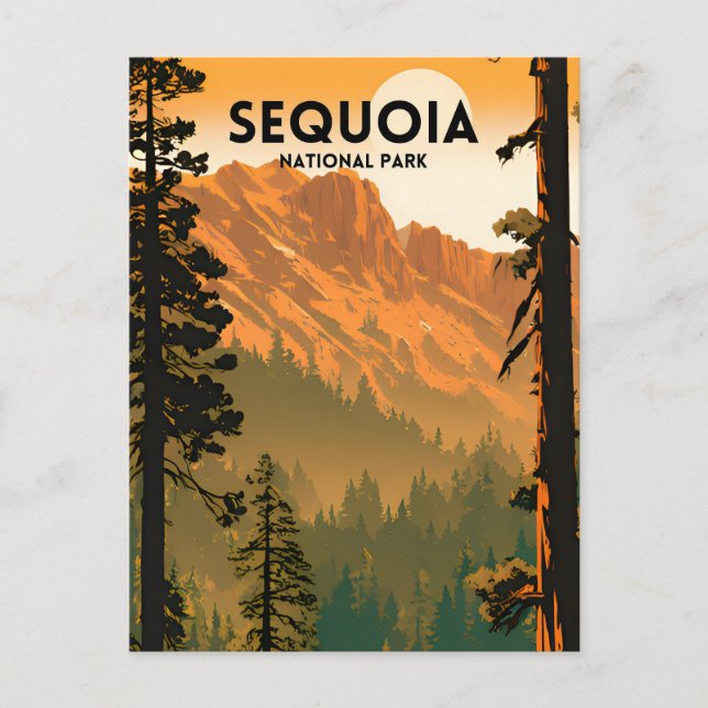 Sequoia National Park Vintage Postcard (Front)