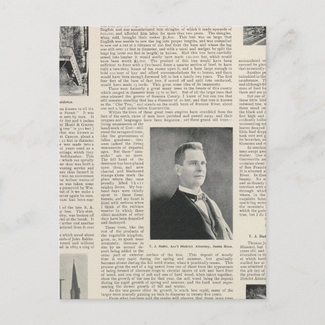 Sequoia of Sonoma, California Postcard (Front)