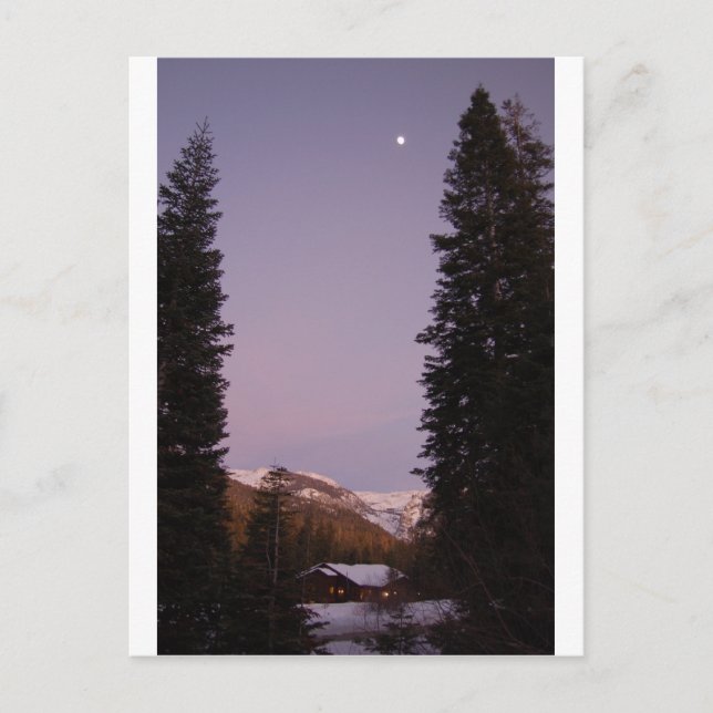 Sequoia Postcard (Front)