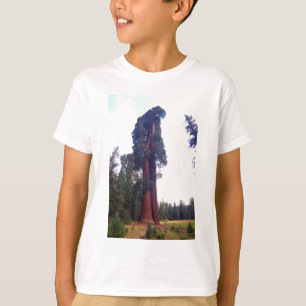 Sequoia T-Shirt