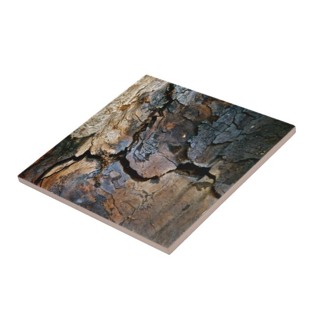 SEQUOIA TREE BARK DETAIL TILE (Side)