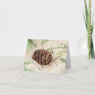 Sequoia Tree Cone Blank Card
