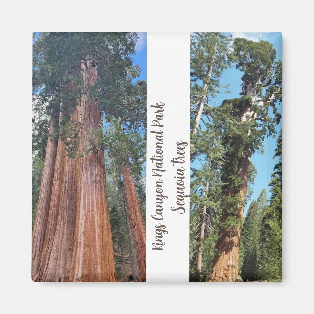 sequoia Trees Magnet (Front)