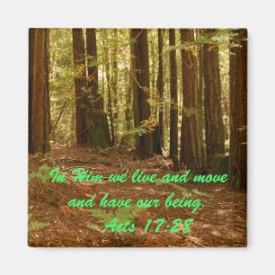 Sequoias Magnet