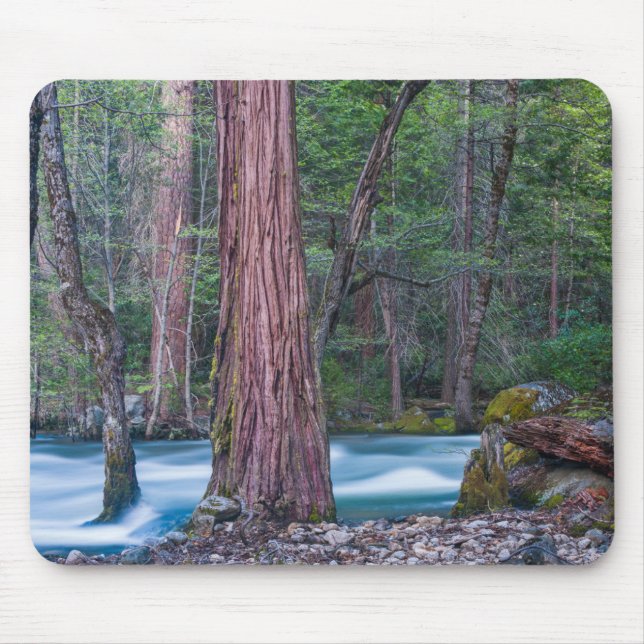 Sequoias & Merced River Yosemite National Park, CA Mouse Pad (Front)