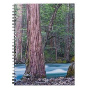 Sequoias & Merced River Yosemite National Park, CA Notebook