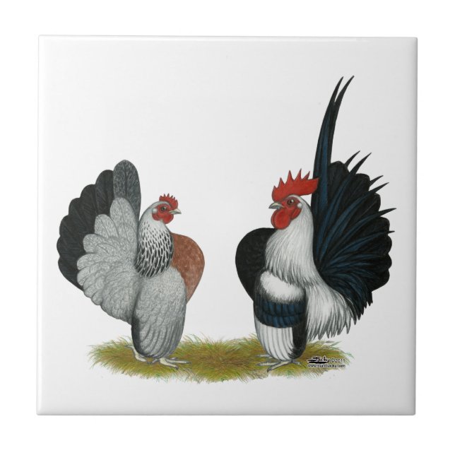 Serama Bantams Ceramic Tile (Front)