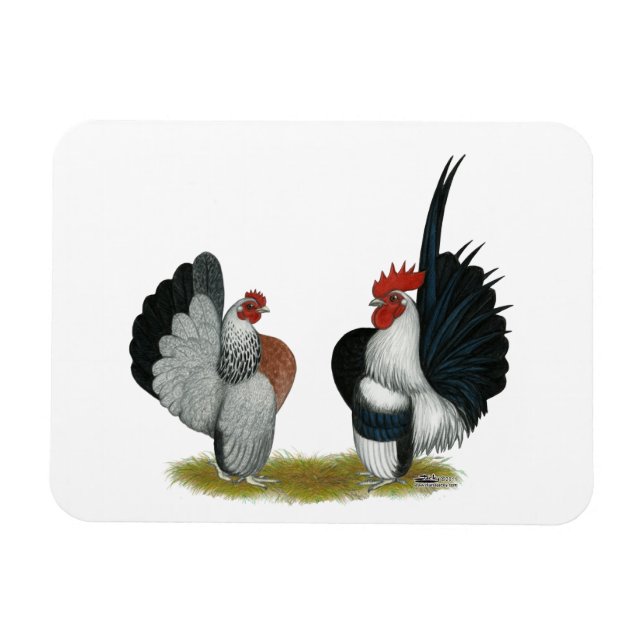 Serama Bantams Magnet (Horizontal)