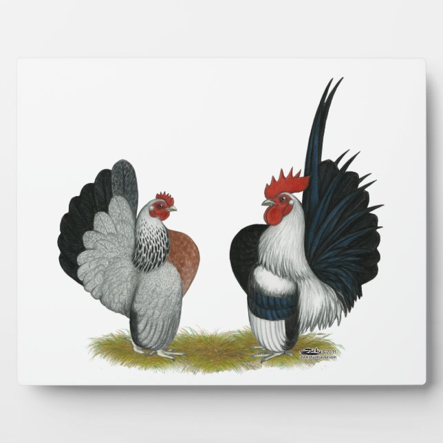 Serama Bantams Plaque (Front)