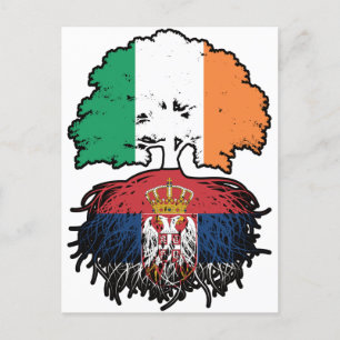 Serbia Serbian Irish Ireland Tree Roots Flag Postcard