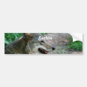 Serbia Wolf Bumper Sticker