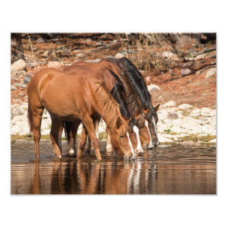 Serendipity Photo Print