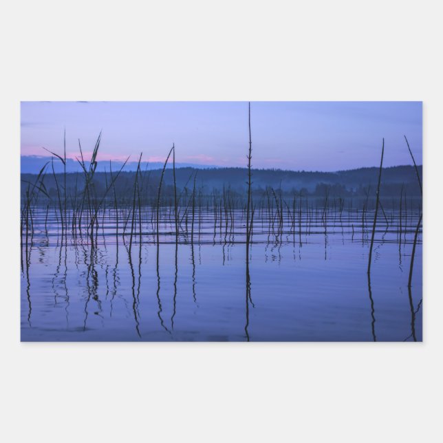 Serene and misty lake after heavy rain sticker. rectangular sticker (Front)