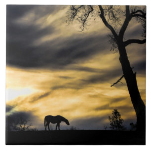 Serene and Surreal Horse in Storm Art Tile