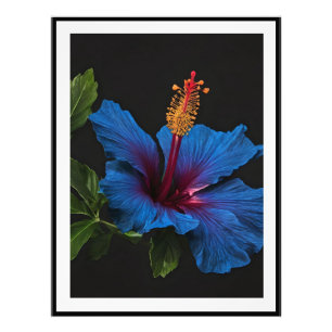 "Serene Bloom: The Beauty of Blue Hibiscus Flowers Photo Print