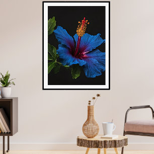 "Serene Bloom: The Beauty of Blue Hibiscus Flowers Poster