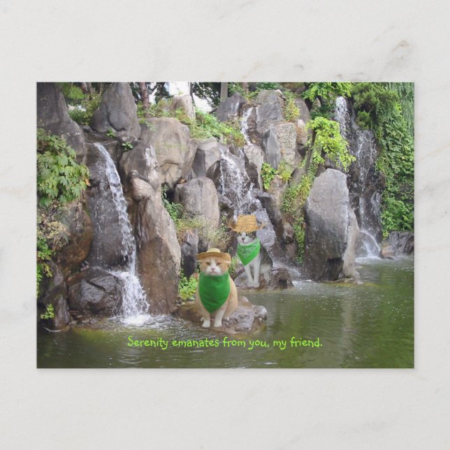 Serene Bubba Postcard (Front)