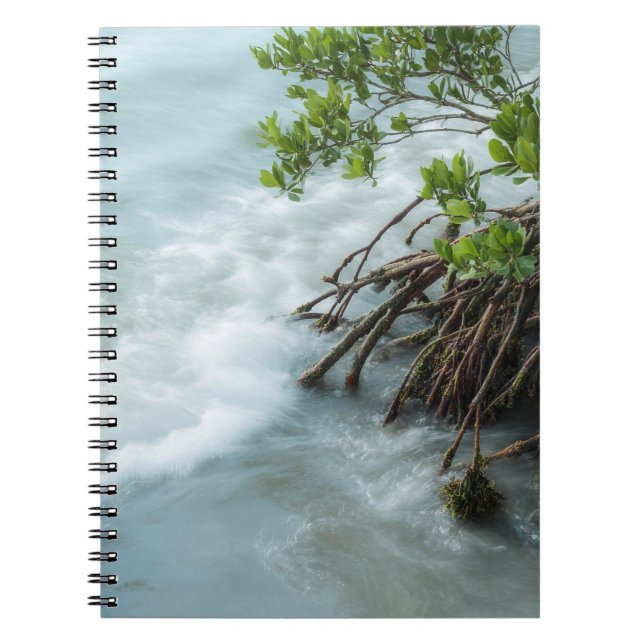 Serene Coastal Mangrove Nature Notebook (Front)