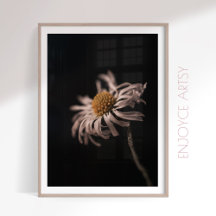 Serene daisy flower still life photo wall art
