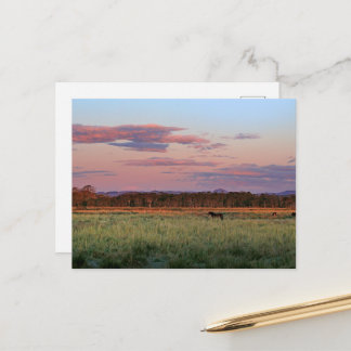 Serene Forest Meadow nature Postcard