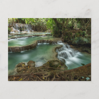 Serene Forest Waterfall Pools Postcard