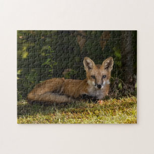 Serene Fox Jigsaw Puzzle
