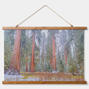 Serene Giant Sequoia Forest in Winter Hanging Tapestry
